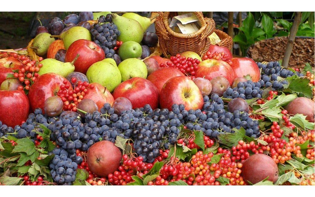 Why Buying Fresh and Local Matters: Benefits of Supporting Local Farmers