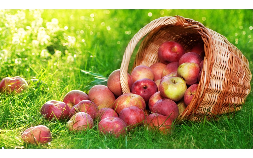 New eiusmod tempor incididunt ut labore et dolore magna