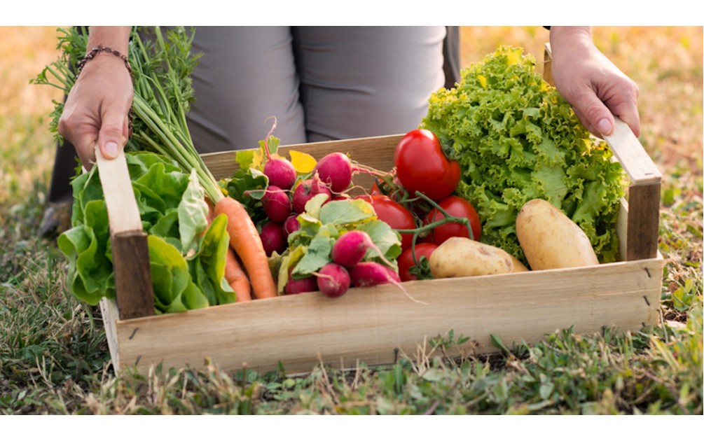 Healthy Eating on a Budget: Grocery Staples That Go a Long Way